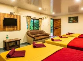 Jungle inn Stay