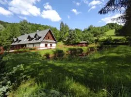 Domki nad rzeką Solinką Terka