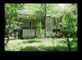 Дача house