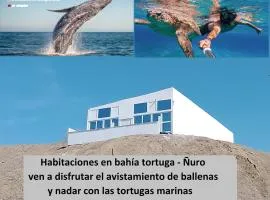 Habitaciones Bahia de las Tortugas Ñuro