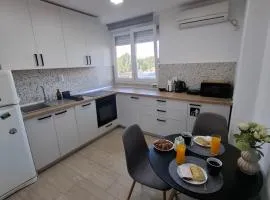 Studio SVACIC self check in