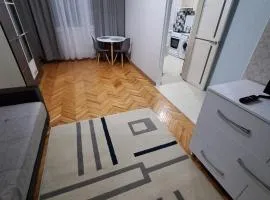 Apartamentul Teilor