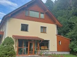 SeeblickHallstatt