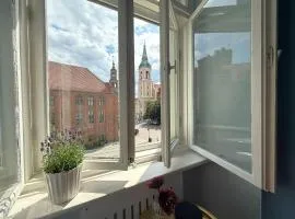 Staromiejska Panorama -Centrum Starówki z widokiem na Ratusz