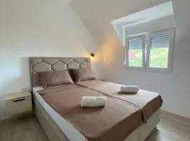 Apartman N&M Temerin