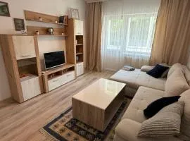 Bella Home 2, your place to stay in Lugoj