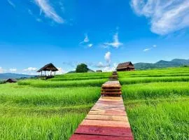ເຂົ້າໜຽວຟາມສະເຕ-Kao Niaw Farmstay