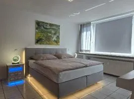 Vacation and business city apartment
