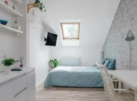 Cozy Attic