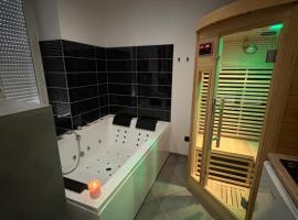 Viesnīca Spa, chill & centre-ville Višī