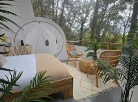 La bulle perchée de Chantilly