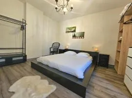 Le Boulevard, appartement près du centre de Roanne
