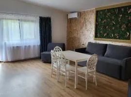 Casa Ratiu 3 Stele Airport Bucharest Therme Bucharest