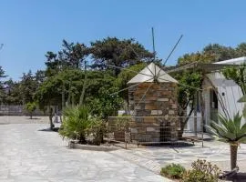 Green Dream Tinos