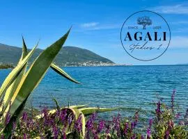 Agali Studios 1