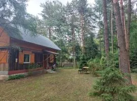 Leśna chatka