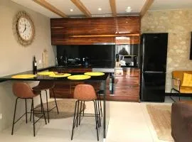 Appartement climatisé, 15 min des plages, 2 chb et parking