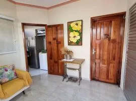 Apartamento funcional próximo ao Shopping Paraíso e comércios