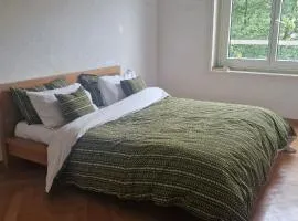 Chambre à Louer chez l'habitant Lausanne centre