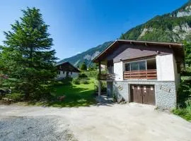 Le Paisible I 12 personnes & Vue sur l'Alpe D'Huez