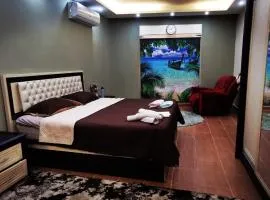 A large, fully furnished Apartment