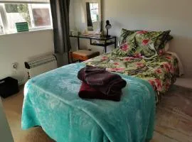 Professional, quiet and cosy bedroom Close to town and to Waikato Hospital