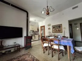 House with the terrace and the garden