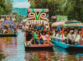 A visit to the cultural heritage, Xochimilco