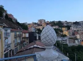 Dimora Anzani appartamenti