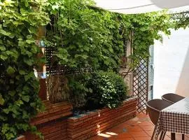 Casa de la Portuguesa, bonita terraza con barbacoa