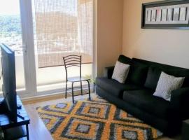 DEPARTAMENTO CENTRO TEMUCO