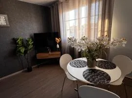 appartement 2 pièces