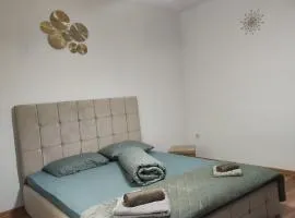 Tonya House 1