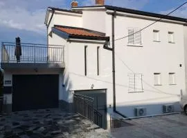 Aurelia