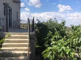بيت مستقل مع حديقة فواكه 3 غرف نوم ومجلس