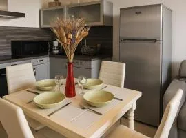 Spacieux appartement tout confort proche plage et centre ville Wifi Animaux bienvenus