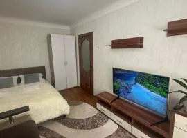 Max Apartment ЧАЙКА Aвтостанція Затишок та Комфорт