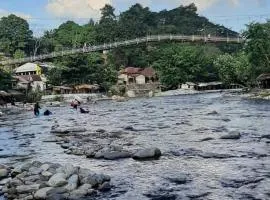 Dendi guest house & orang utan explore