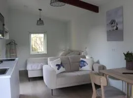 Vakantiestudio De Strandloper Zeeland, holiday home in Koudekerke