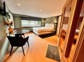 Studio with sauna