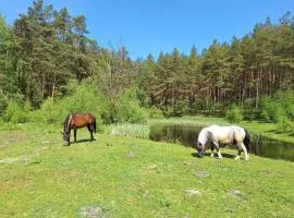 Agroturystyka Uroczysko