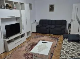 Tulcea Soft Apartment