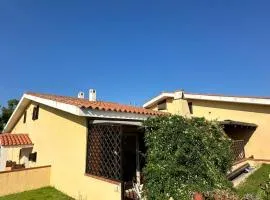 Grillo del faro