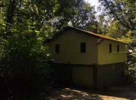 vogelzang