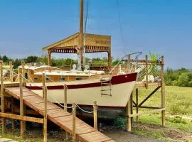 Asila's Ark