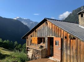 Chalet Sauce Montagnarde, Hotel in Planay