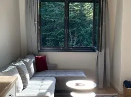 Mountain Dream