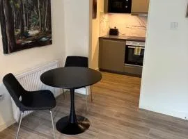 Dublin City Centre apartment