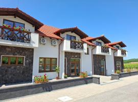Wellness Penzi&oacute;n V&iacute;nny Dom, hotel with pools in Streda nad Bodrogom