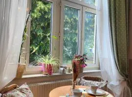 Cozy small apartment